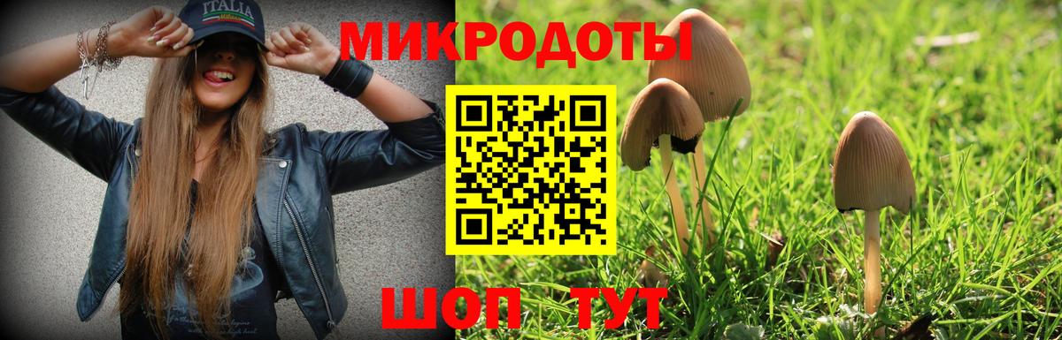 Псилоцибиновые грибы Psilocybe  где купить   Тамбов  Вход с VPN 